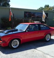 TORANA.jpg